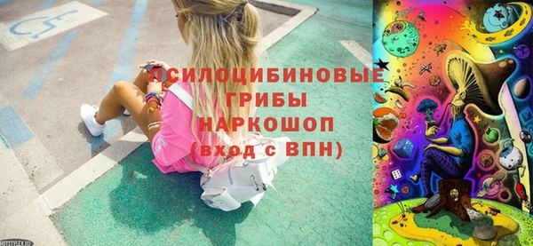 сатива Аркадак