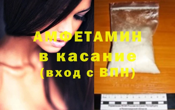 сатива Аркадак