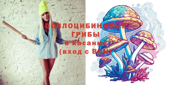 сатива Аркадак