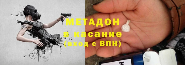 сатива Аркадак