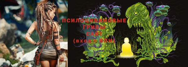 apvp Арсеньев