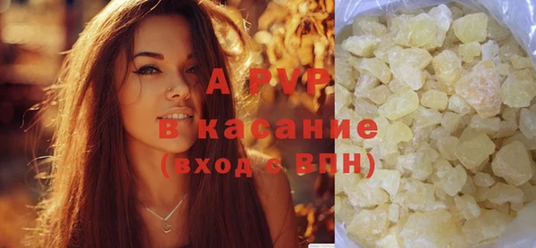 сатива Аркадак